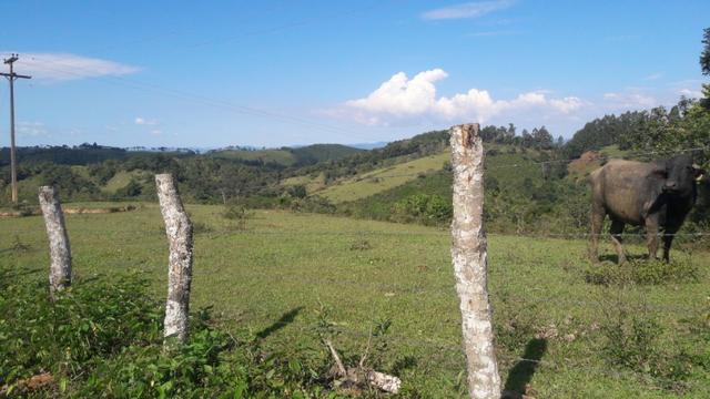 Fazenda 85 alqueres - Foto 5