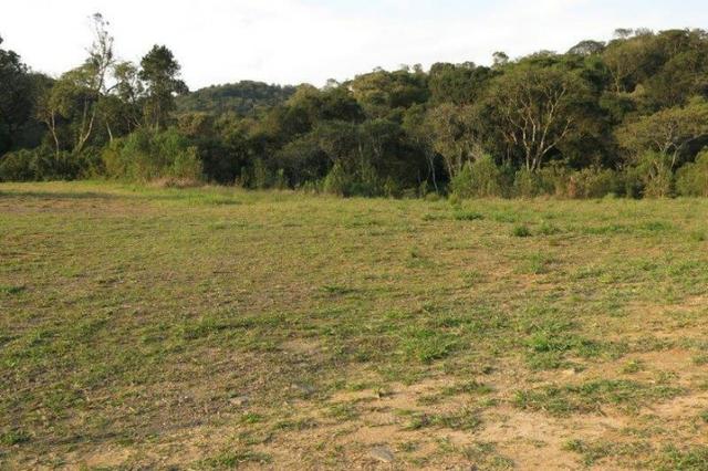 Terreno para Venda, São Bento do Sul / SC, bairro Rio Vermelho Estação - Foto 10