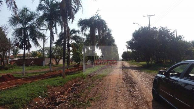 Terreno residencial à venda, zona rural, santo antônio do aracanguá. - Foto 12