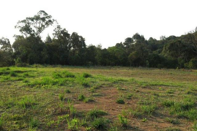 Terreno para Venda, São Bento do Sul / SC, bairro Rio Vermelho Estação - Foto 15