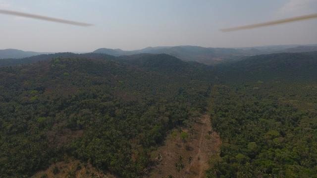 Vende-se fazenda em Cuiabá - Foto 12