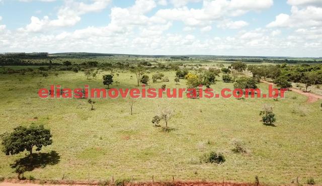 Sítio meio alqueire - Entre Uberlândia e Monte Alegre - Foto 6