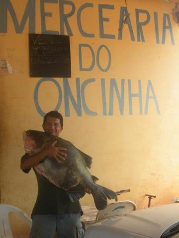 Chácara em Barro Alto Goiás - Foto 4