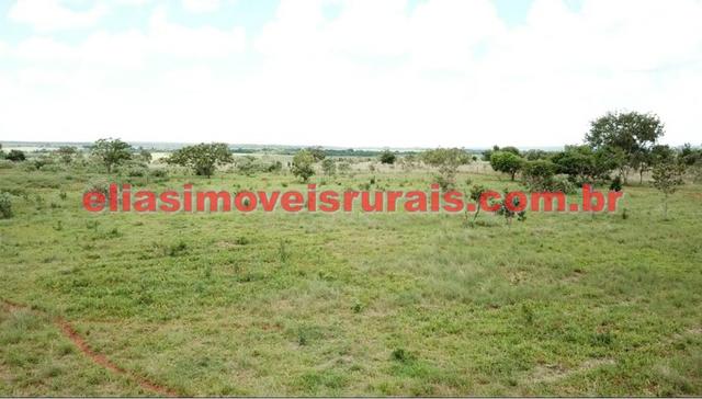 Sítio meio alqueire - Entre Uberlândia e Monte Alegre - Foto 4