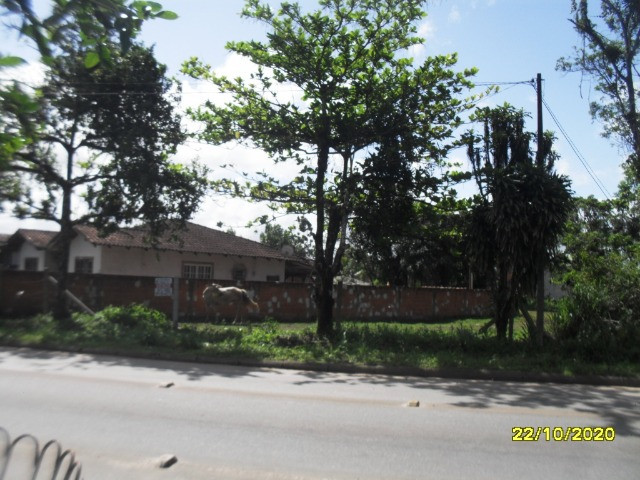 Terreno de 1200m2 - Foto 2