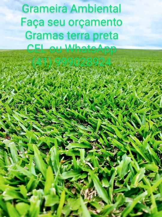 Gramas  - Foto 2