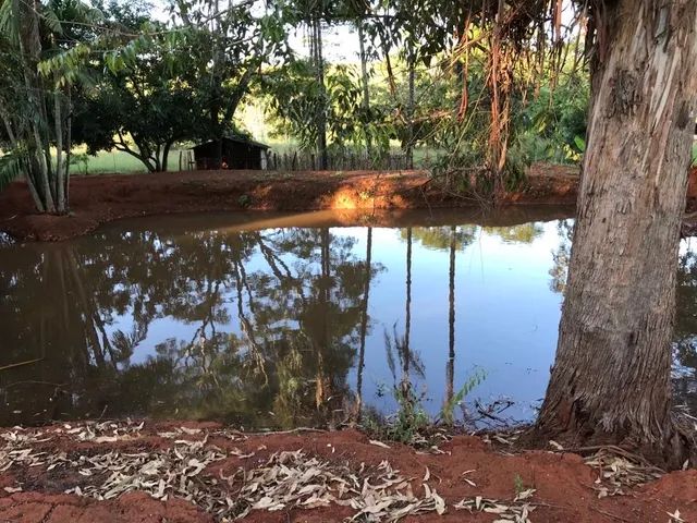 VENDO CHÁCARA EM ABADIANIA COM RIBEIRÃO  - Foto 2