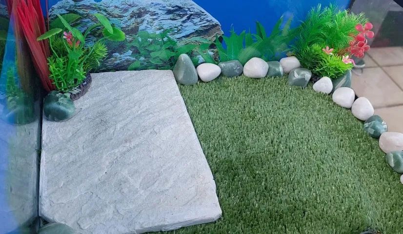 Terrário para Tartarugas - Foto 5