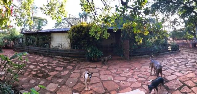 VENDO CHÁCARA EM ABADIANIA COM RIBEIRÃO  - Foto 10