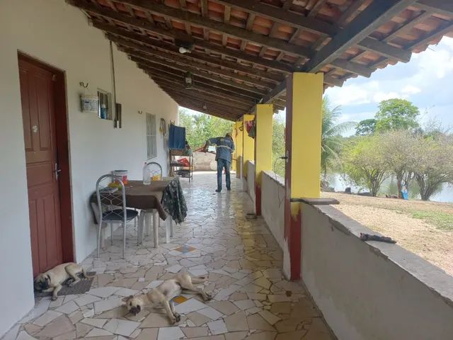Vendo Fazenda BR 135 - Foto 2