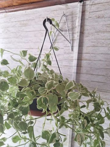 Suporte de ferro para plantas  - Foto 3