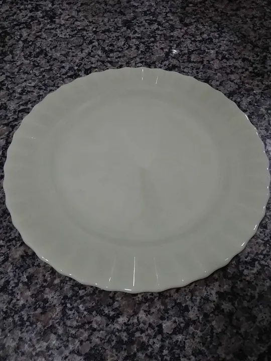 Prato bolo Colorex