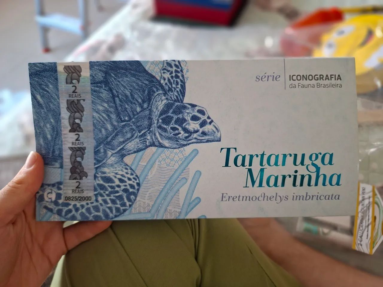 Folder edição comemorativa 2 reais banco do Brasil