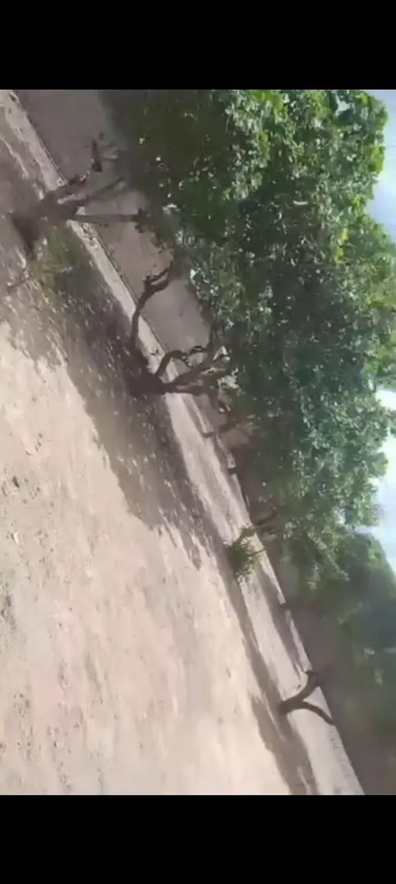 Terreno 30 X 30 todo murado pra vender ou troca em Fiurino ou Van