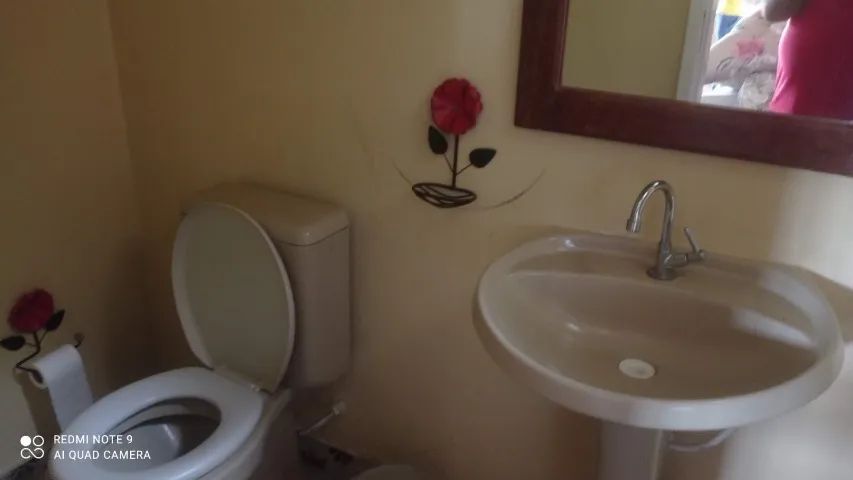 FAZENDA EM SÃO GONÇALO - 50 TAREFAS - Foto 3