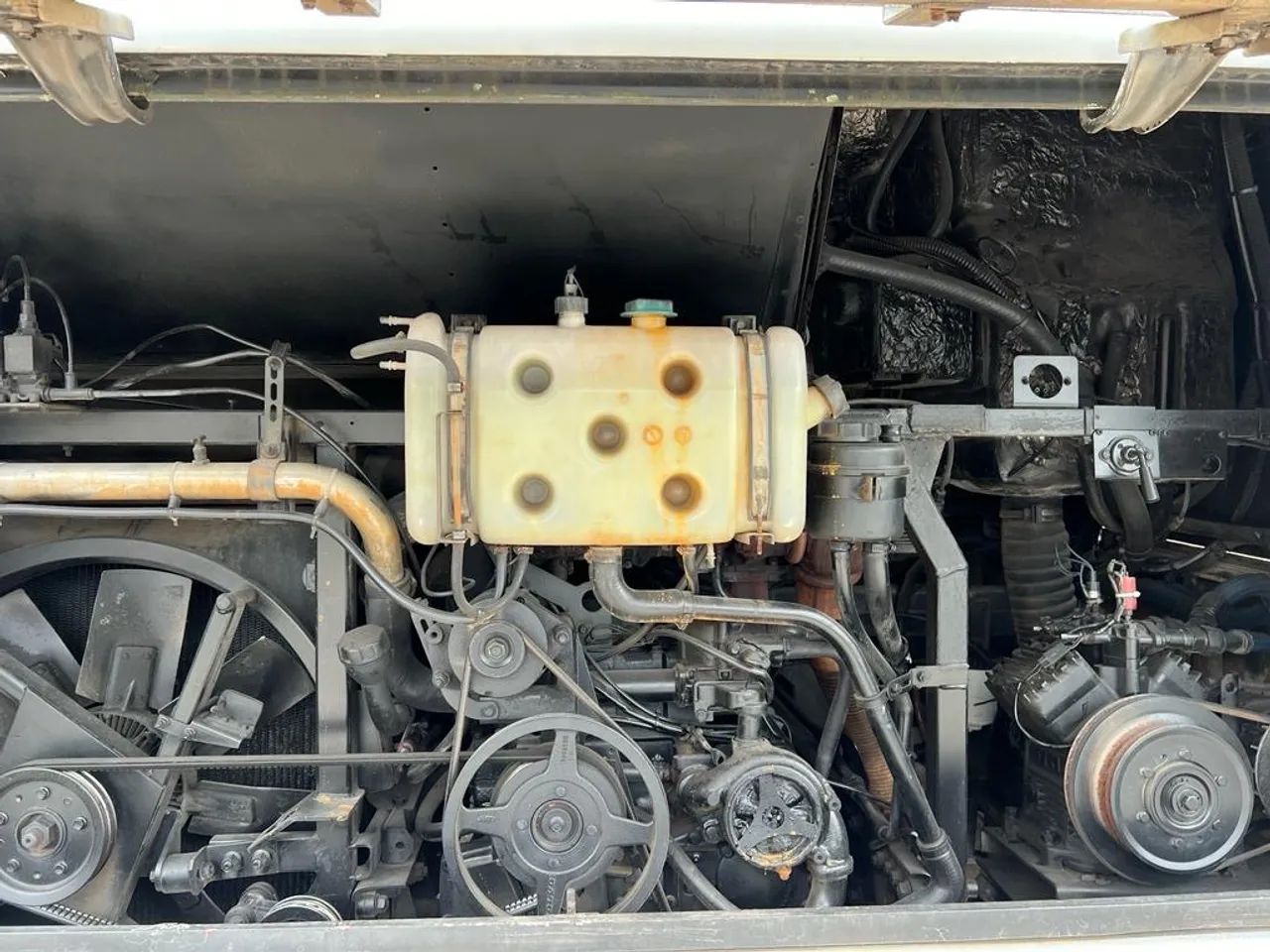 Viaggio  GV 1000 - Foto 9