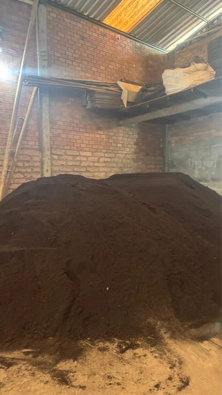 Substrato para Plantas - Foto 2