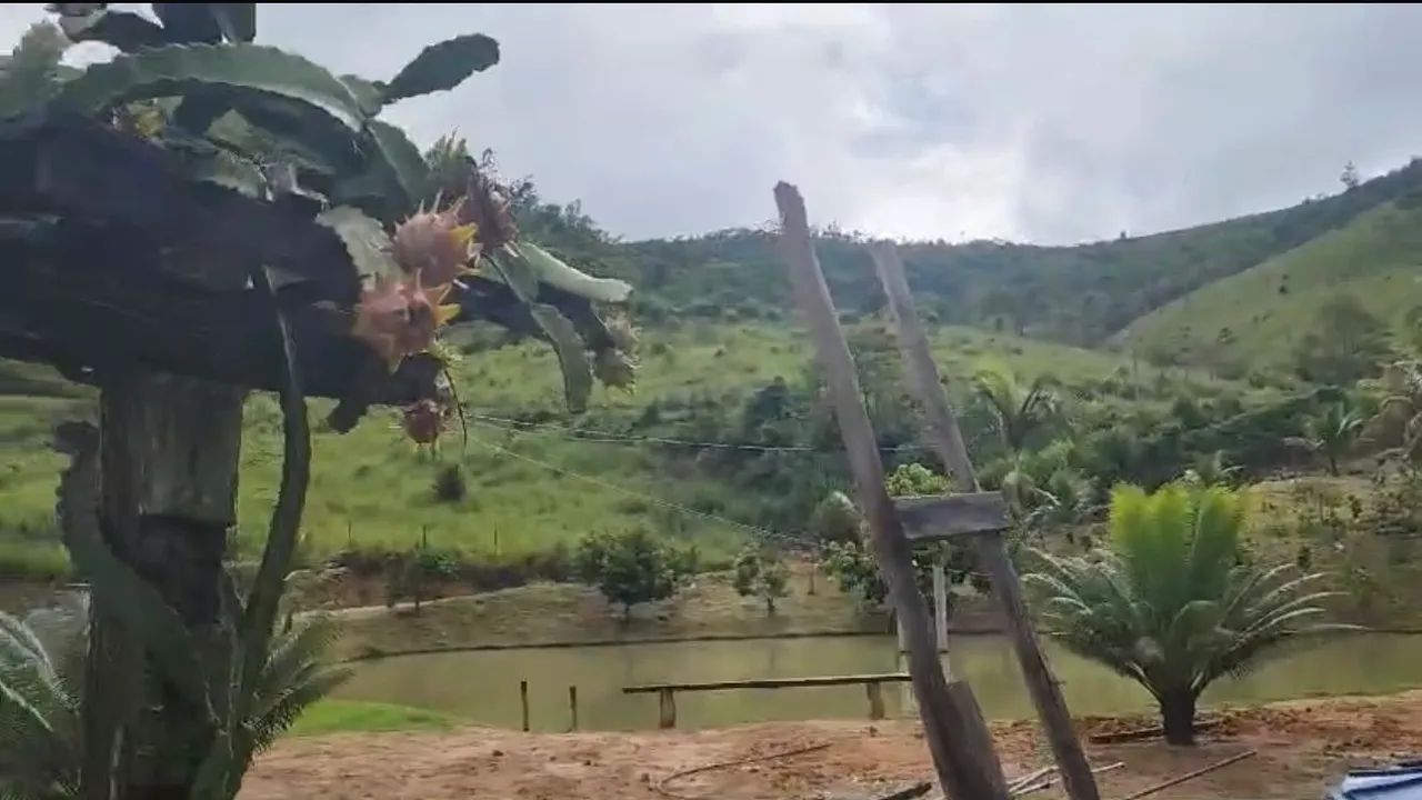 Fazenda com 3 lagoas, 8 nascentes de água, casa e área verde - Foto 4