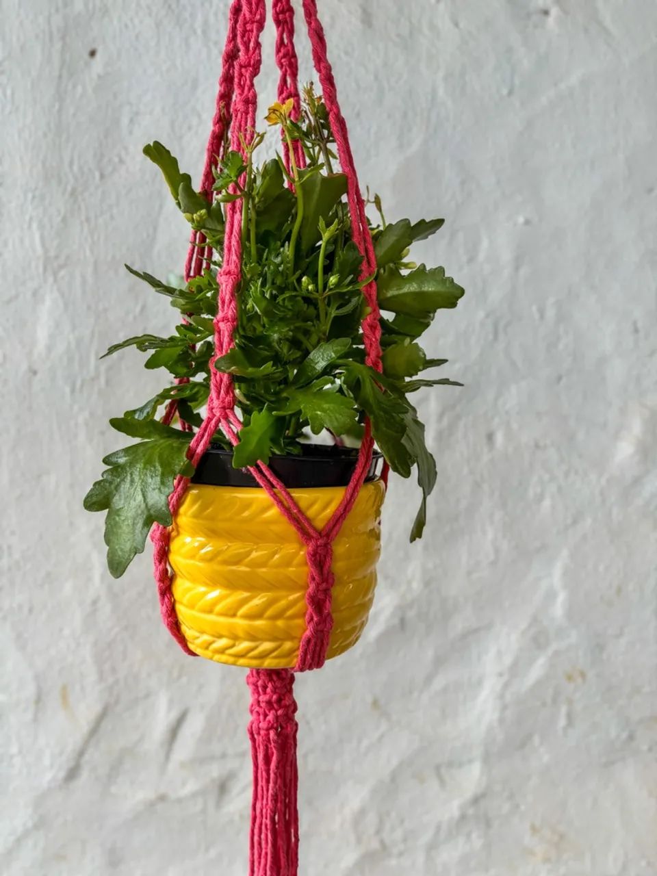 Suporte de Plantas em Macramê - Feito à Mão | Cor Pink