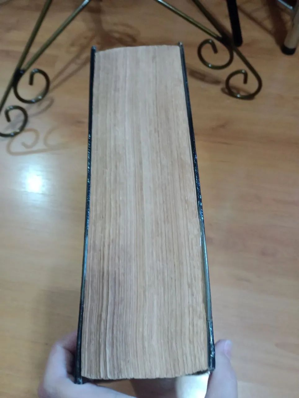 Novo Dicionário Aurélio - Editora Nova Fronteira - Foto 4