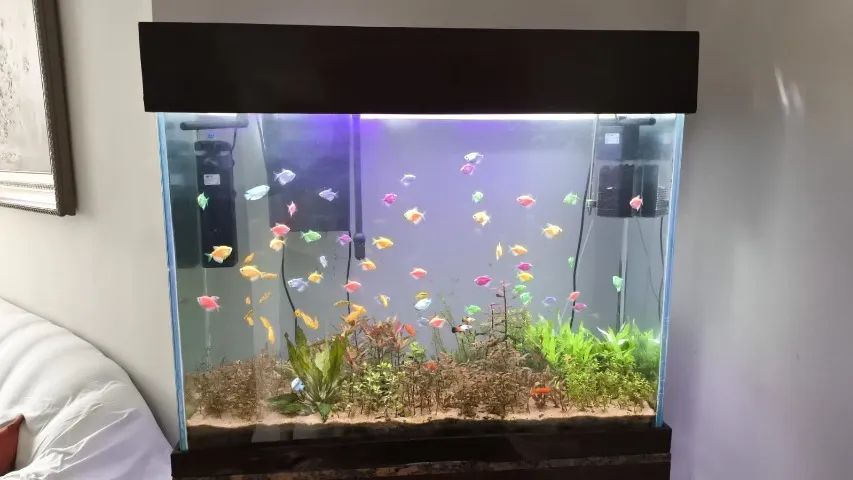 Aquário de 217 litros: 97 cm x 32 cm x 70 cm - Foto 2