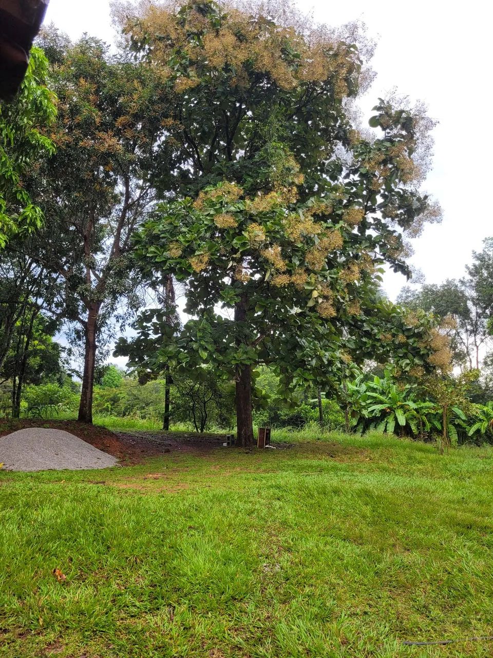 Foto - Goiânia - Condomínio Privê das Oliveiras