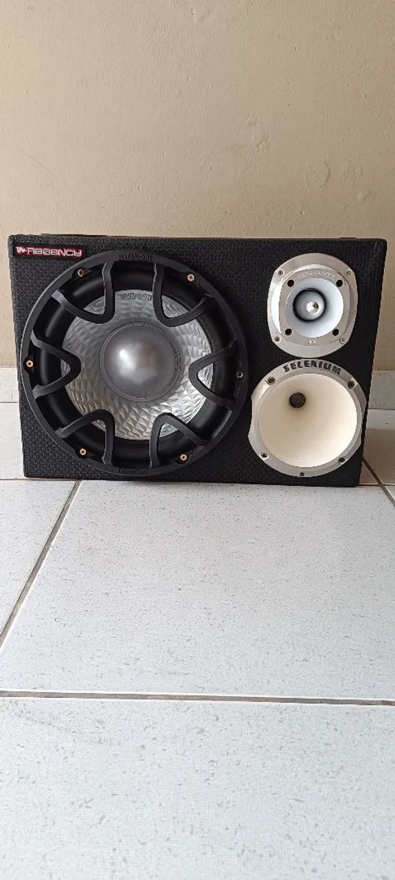 Caixa de Som Subwoofer 12 Polegadas
