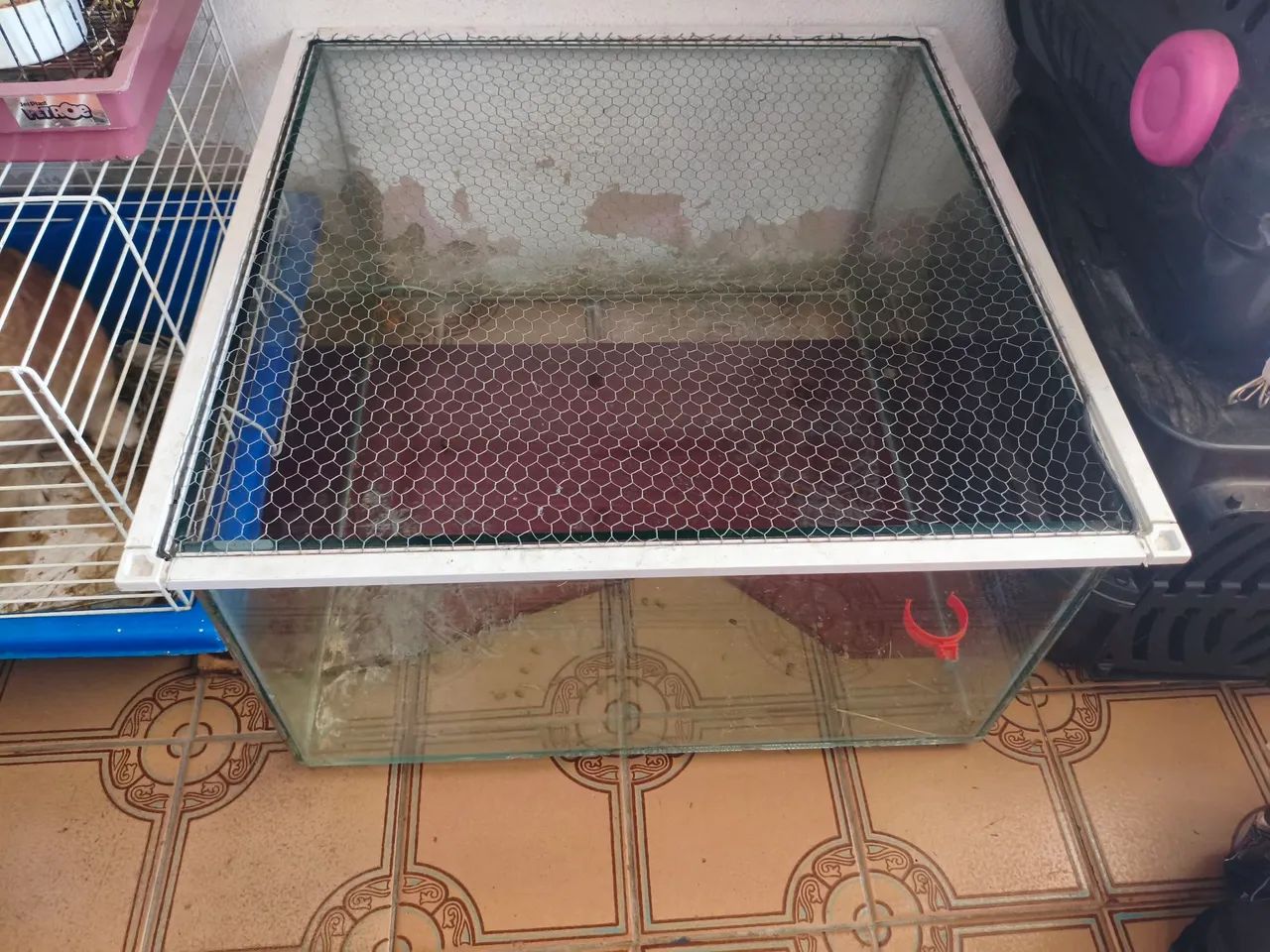 Terrario para hamister (não dá pra colocar água)