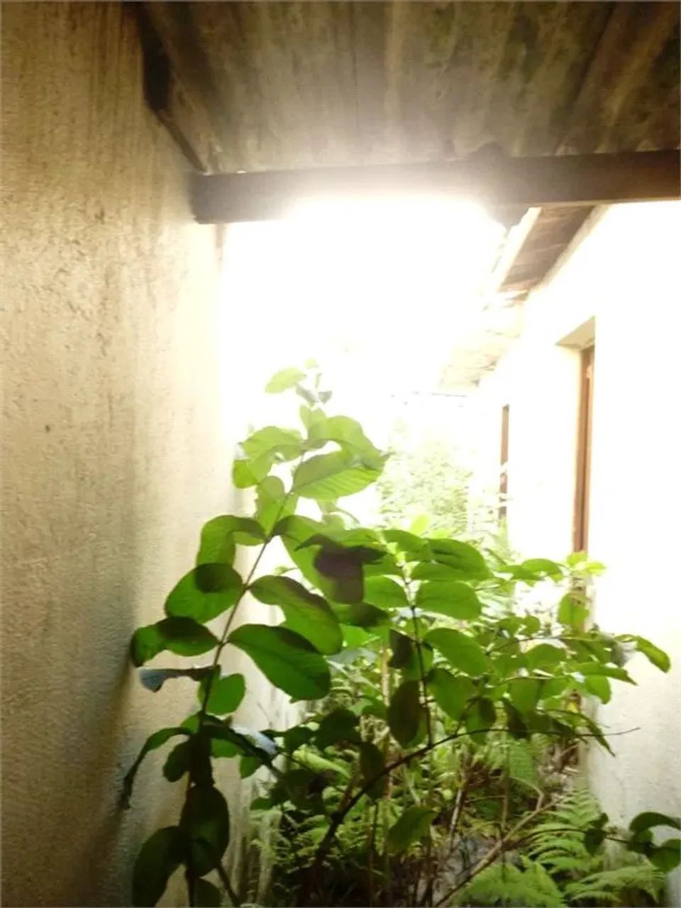 Terreno à venda em Vila maria - SP - Foto 2