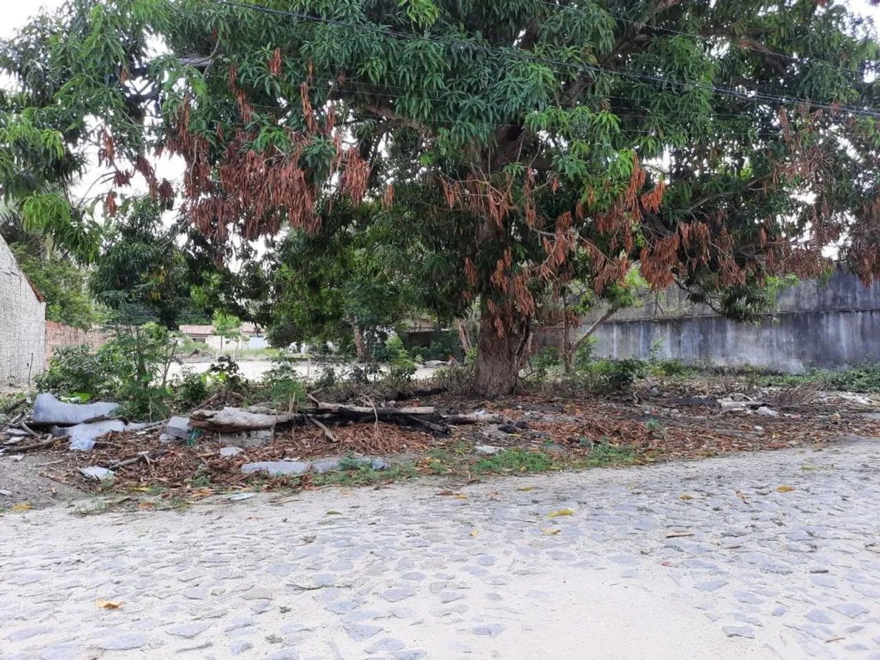 Terreno à venda, 1680 m² por R$ 350.000,00 - Eusébio - Eusébio/CE - Foto 3