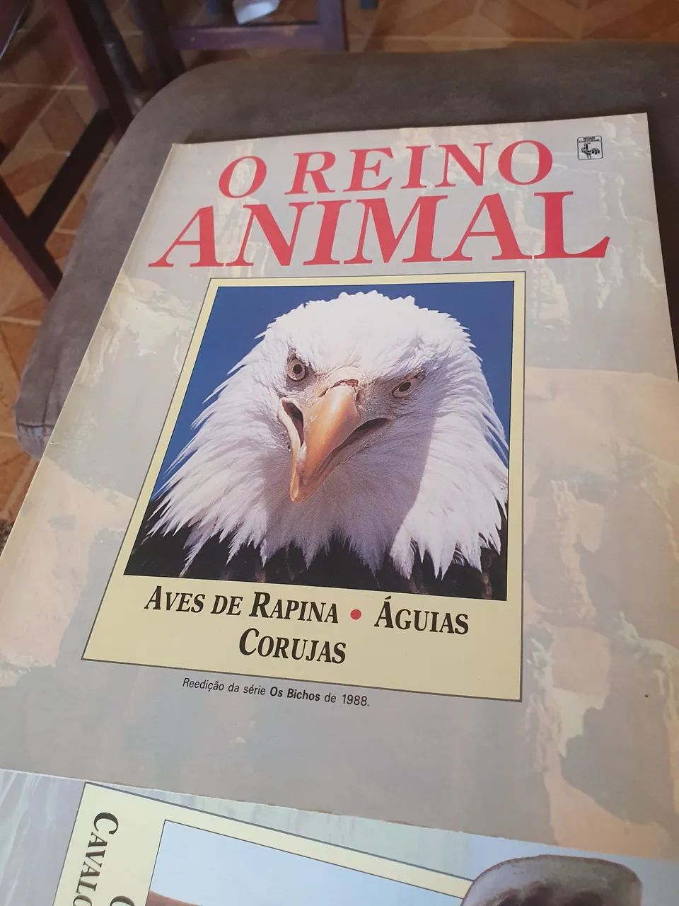 O Reino Animal - Aves de Rapina - Águias e Corujas
