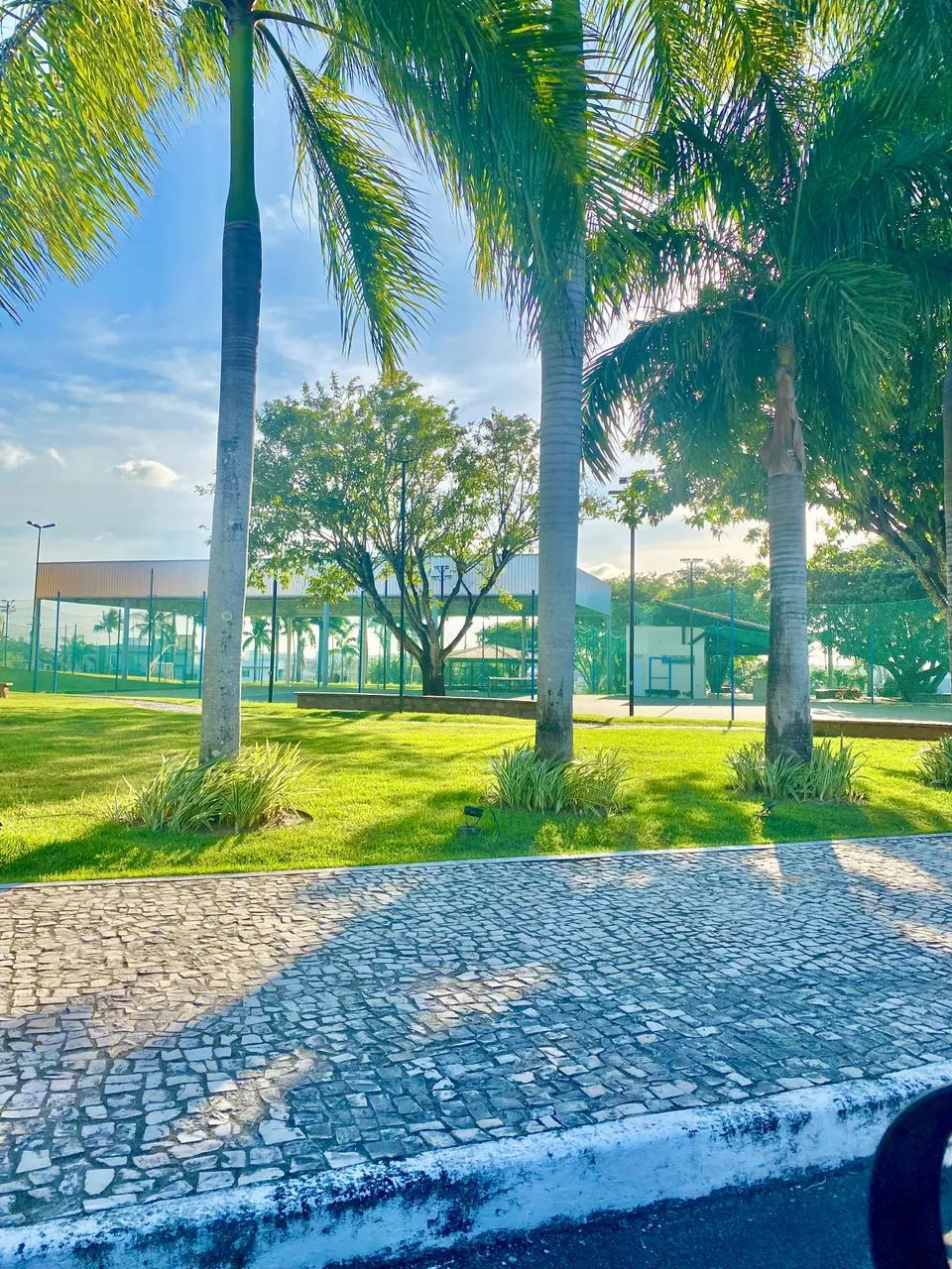 Bosque das Palmeiras Lote venda parte alta - Foto 3
