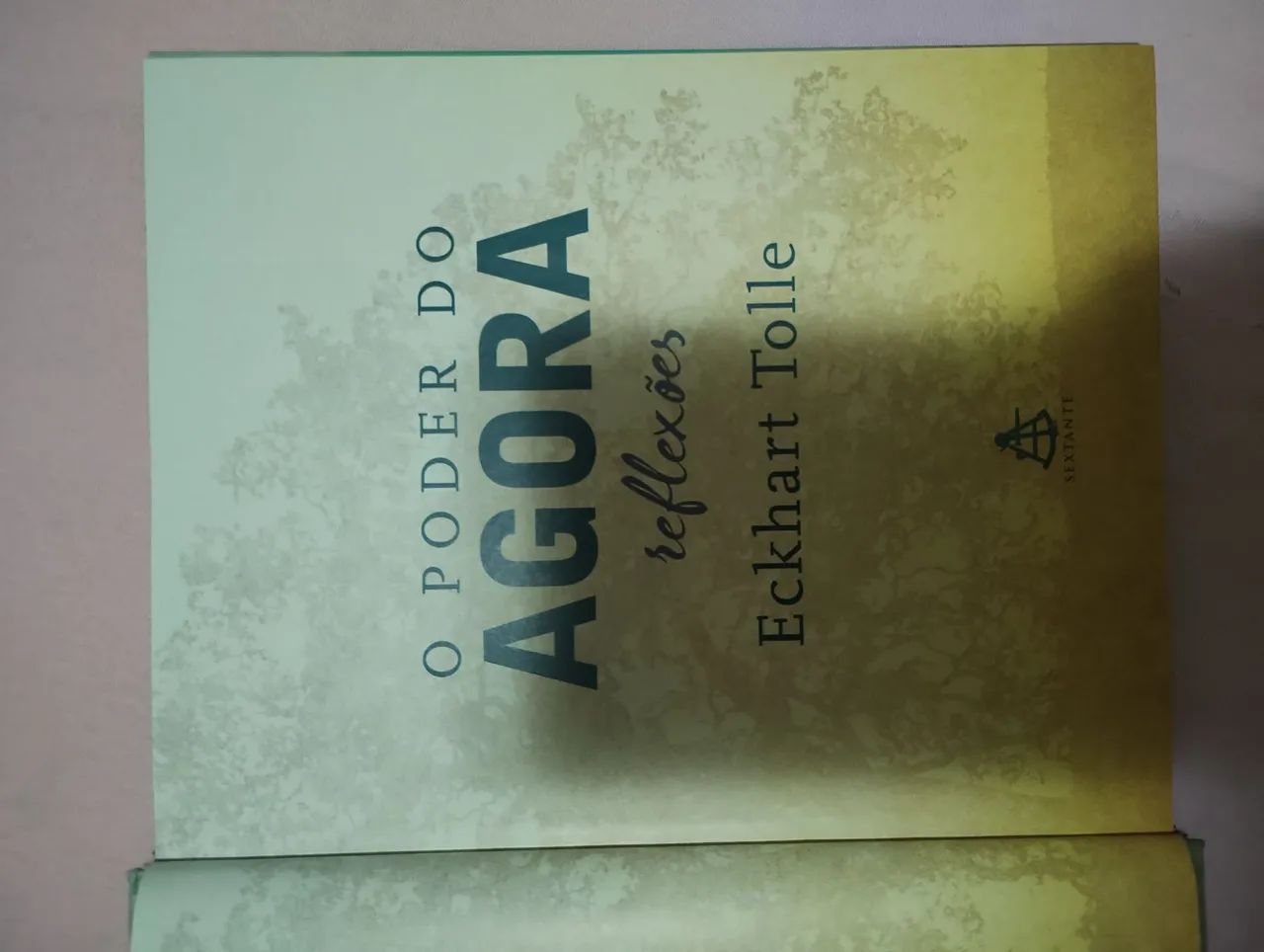 O Poder do Agora - Eckhart Tolle - Foto 3