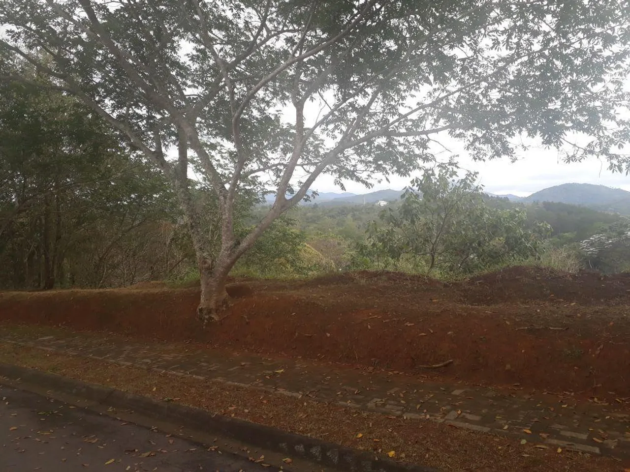 Terreno no bairro Santa Isabel!!!