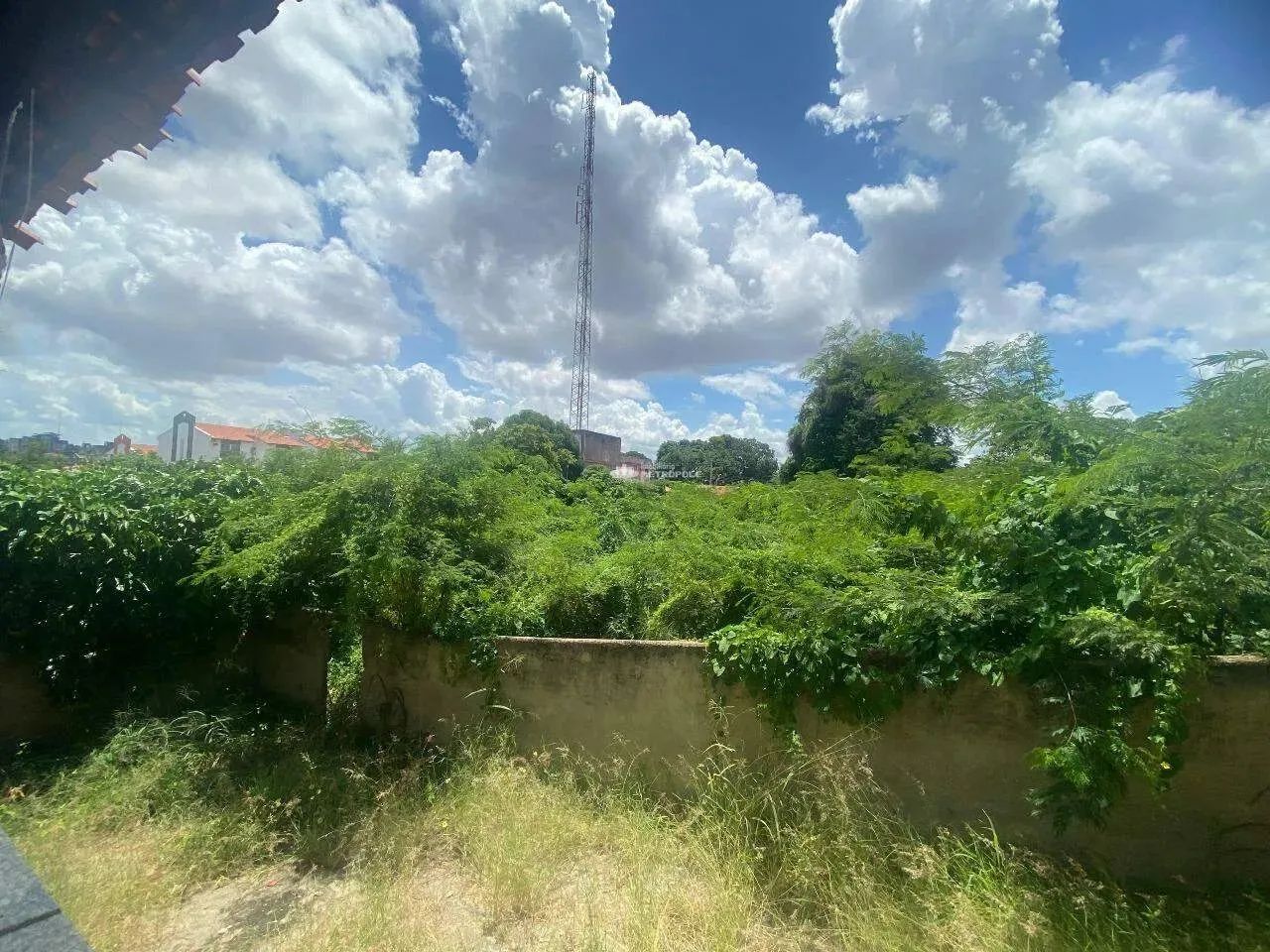 R.CANADÁ - BAIRRO: CIDADE NOVA - Foto 2