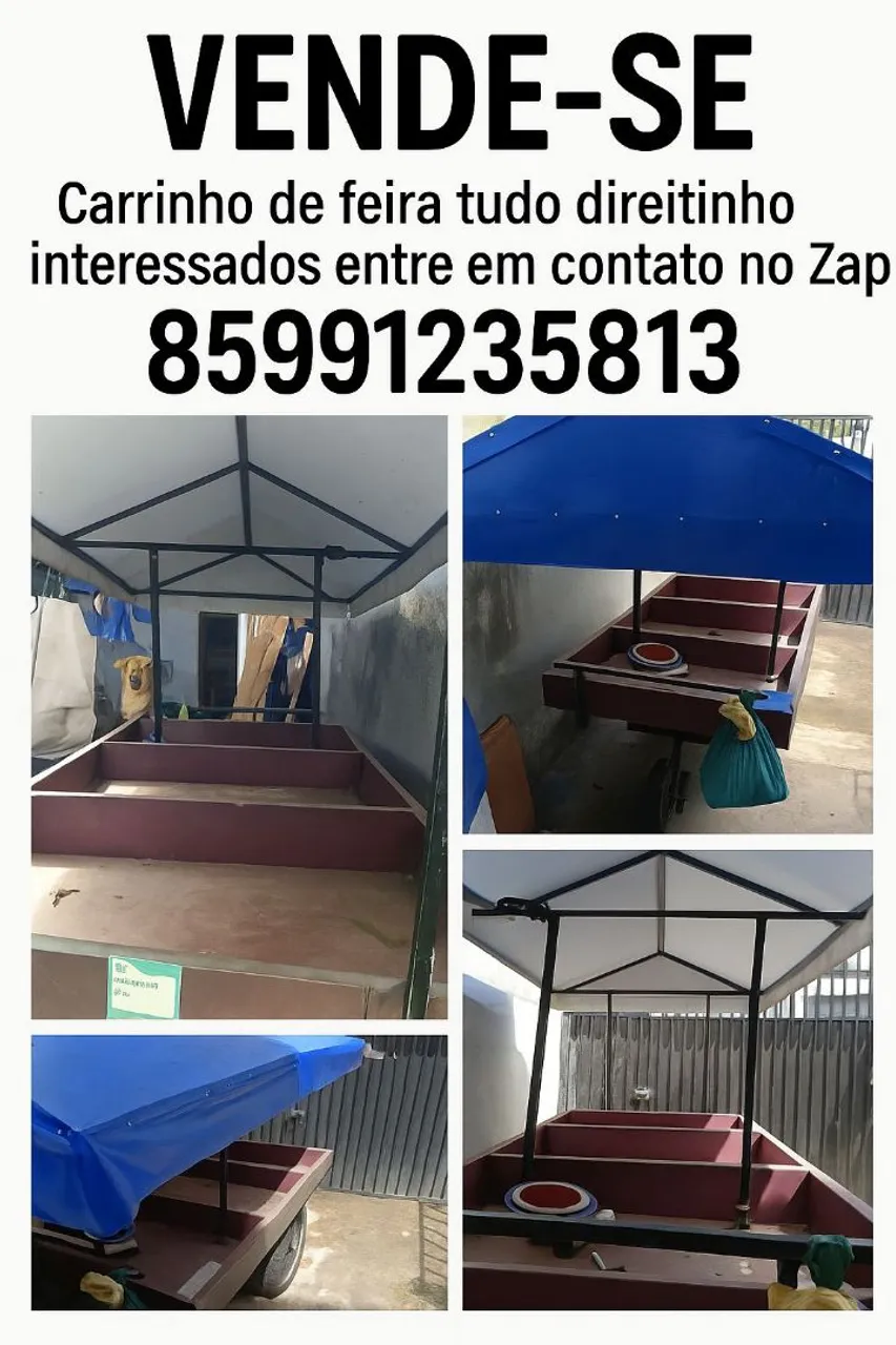 Carrinho de feira completo para vender!