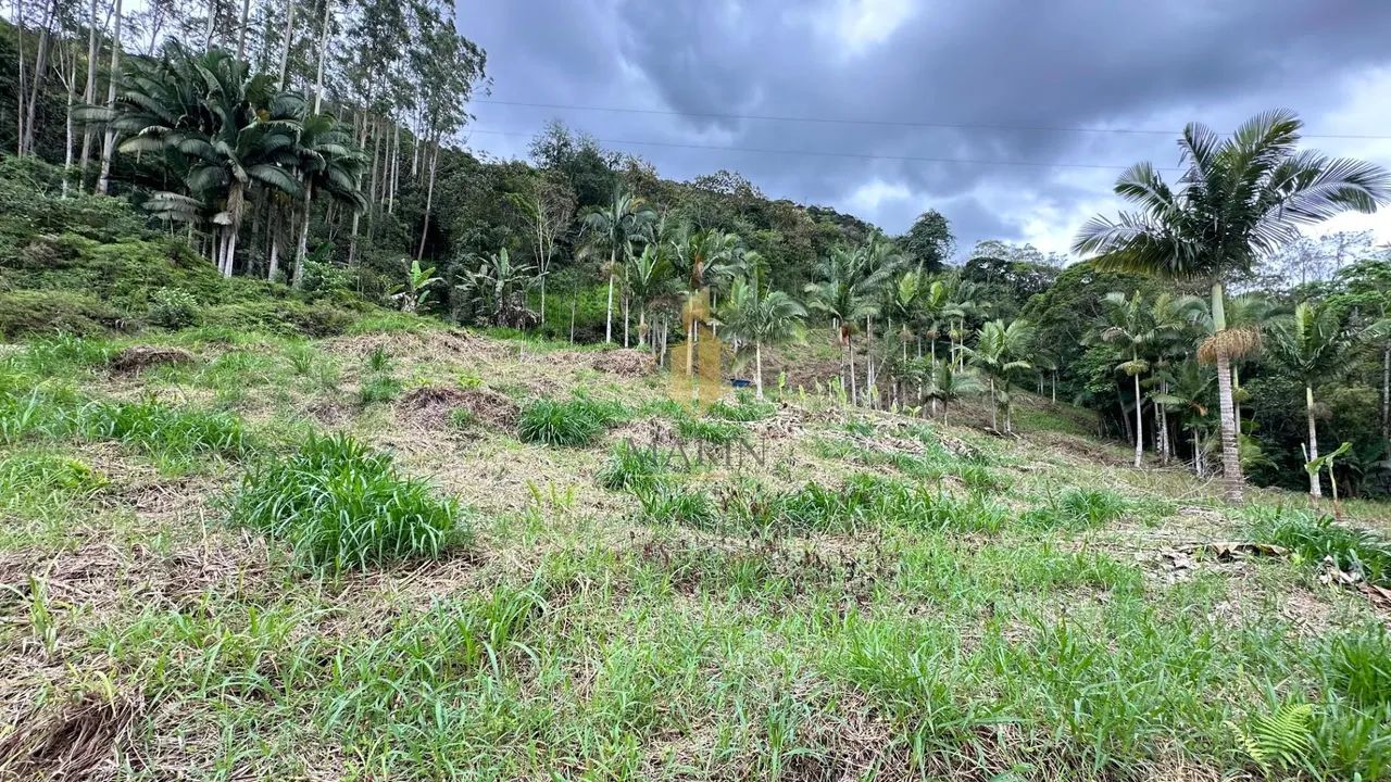 Sítio com cachoeira, Luiz Alves/SC - Foto 4