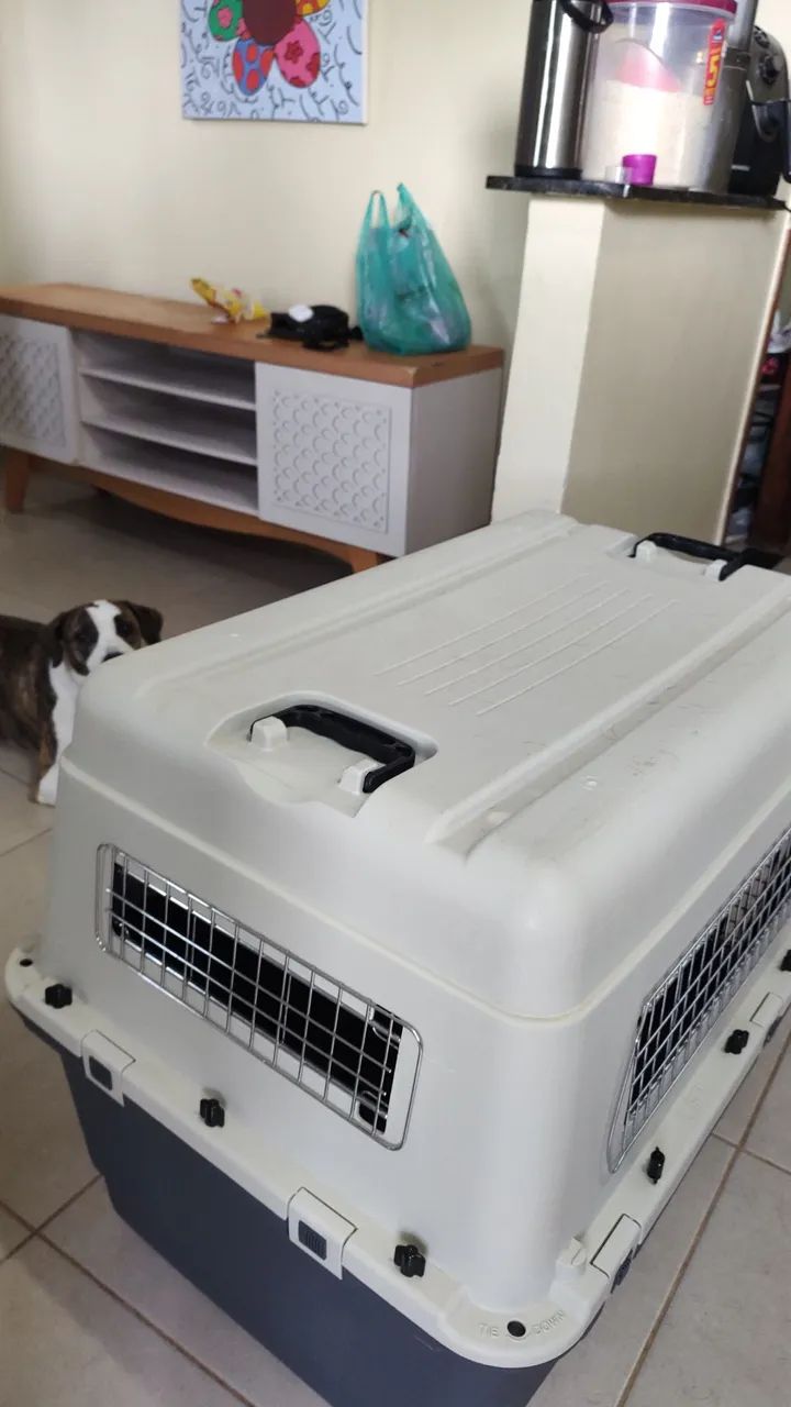 Vendo duas Caixas de transporte para pets.