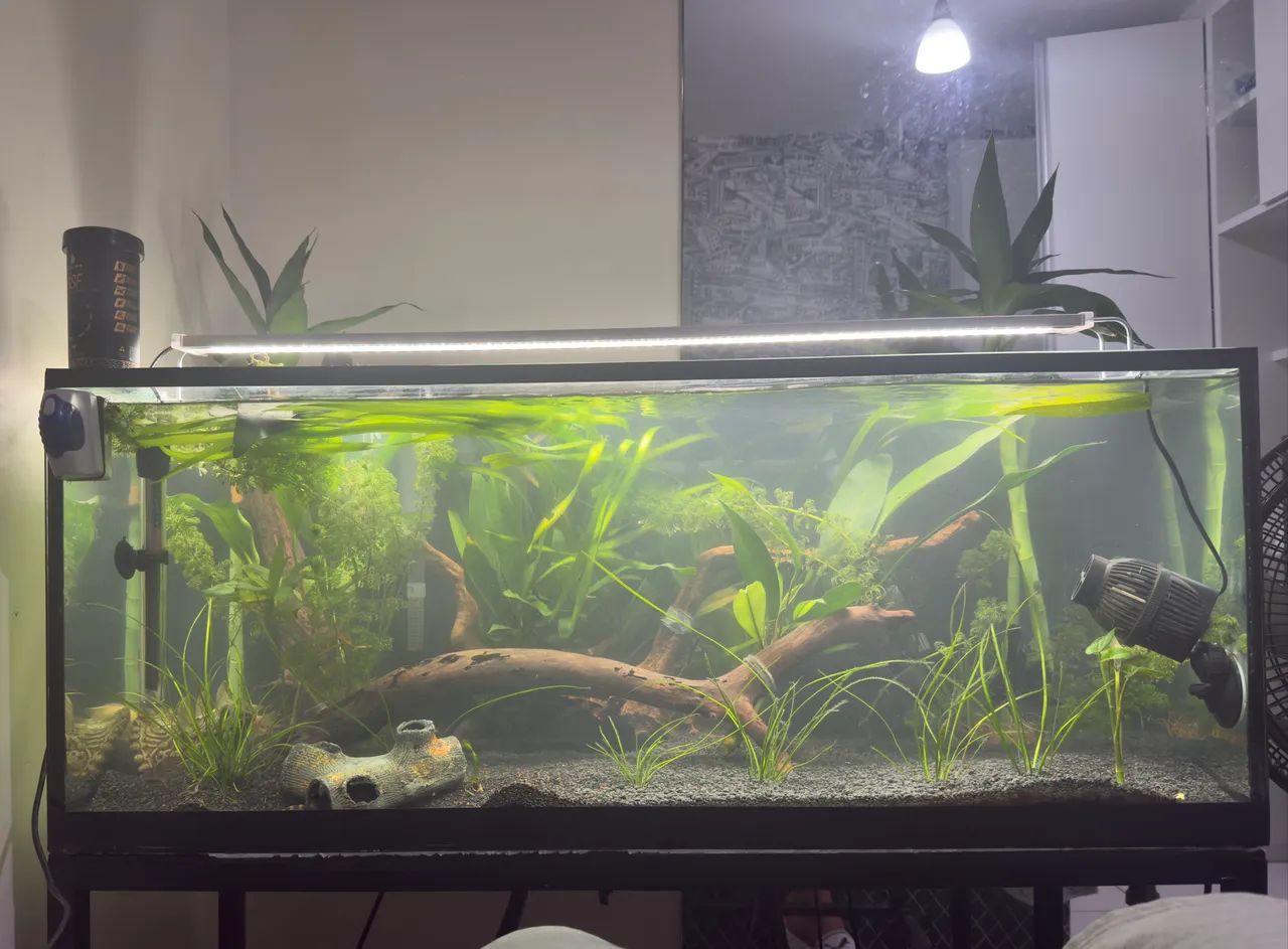 Aquário de 160 litros completo  - Foto 3