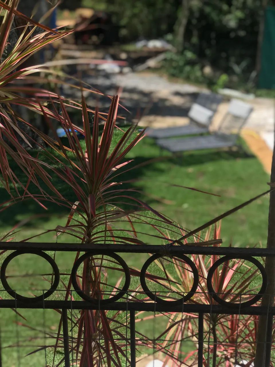 Day use em búzios  - Foto 5