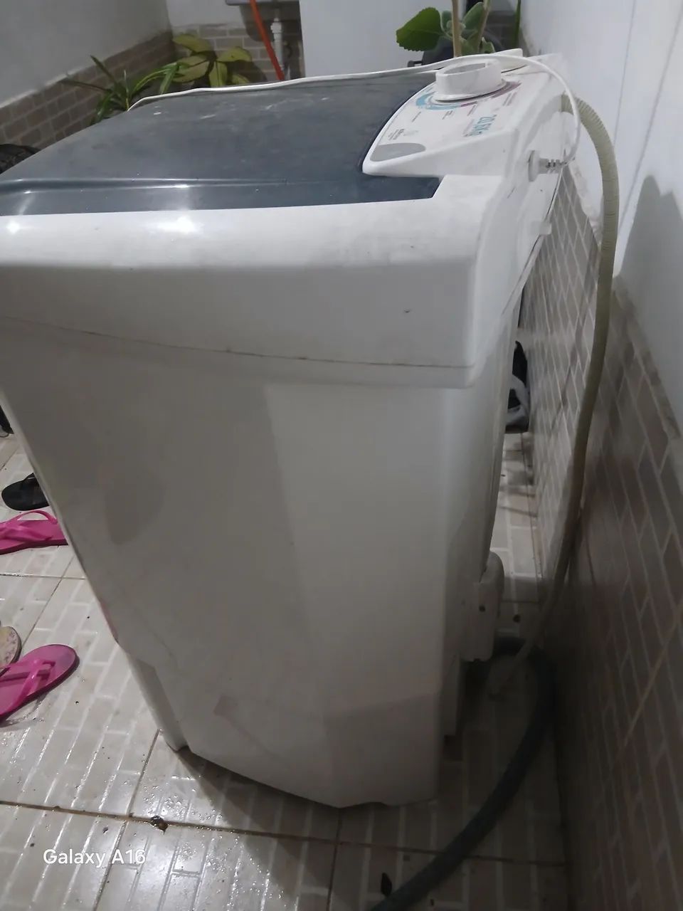 Tanquinho britânico 20.6kls - Foto 2