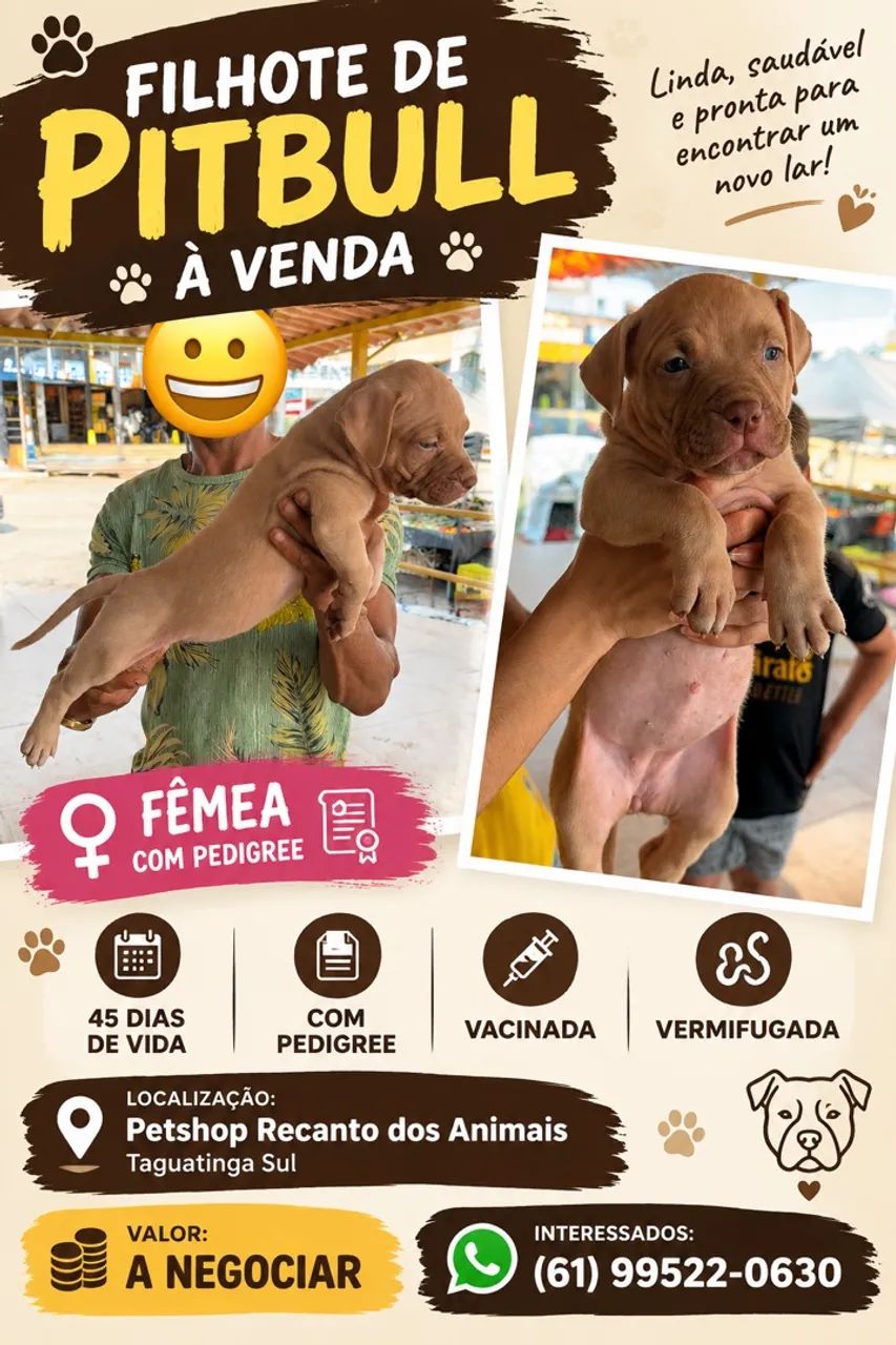 ? Filhotes de PitMonster ? - Foto 3