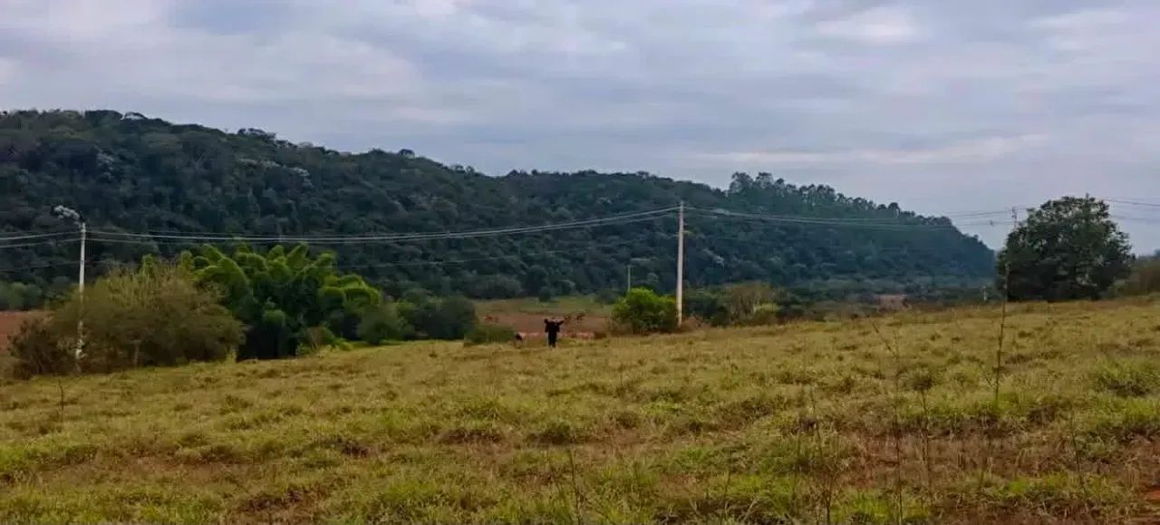 Oportunidade em Silvianopolis - Foto 3