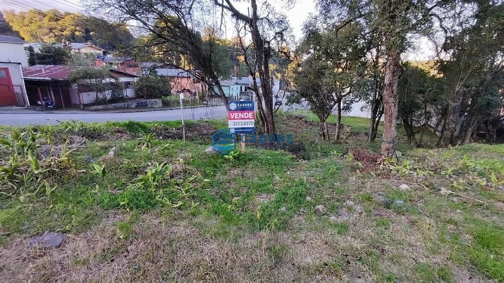 TERRENO DESVIO RIZZO COM 465m²