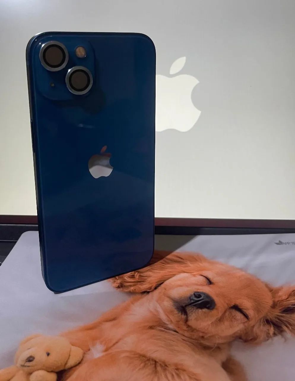 iPhone 13 256 gb - Foto 4