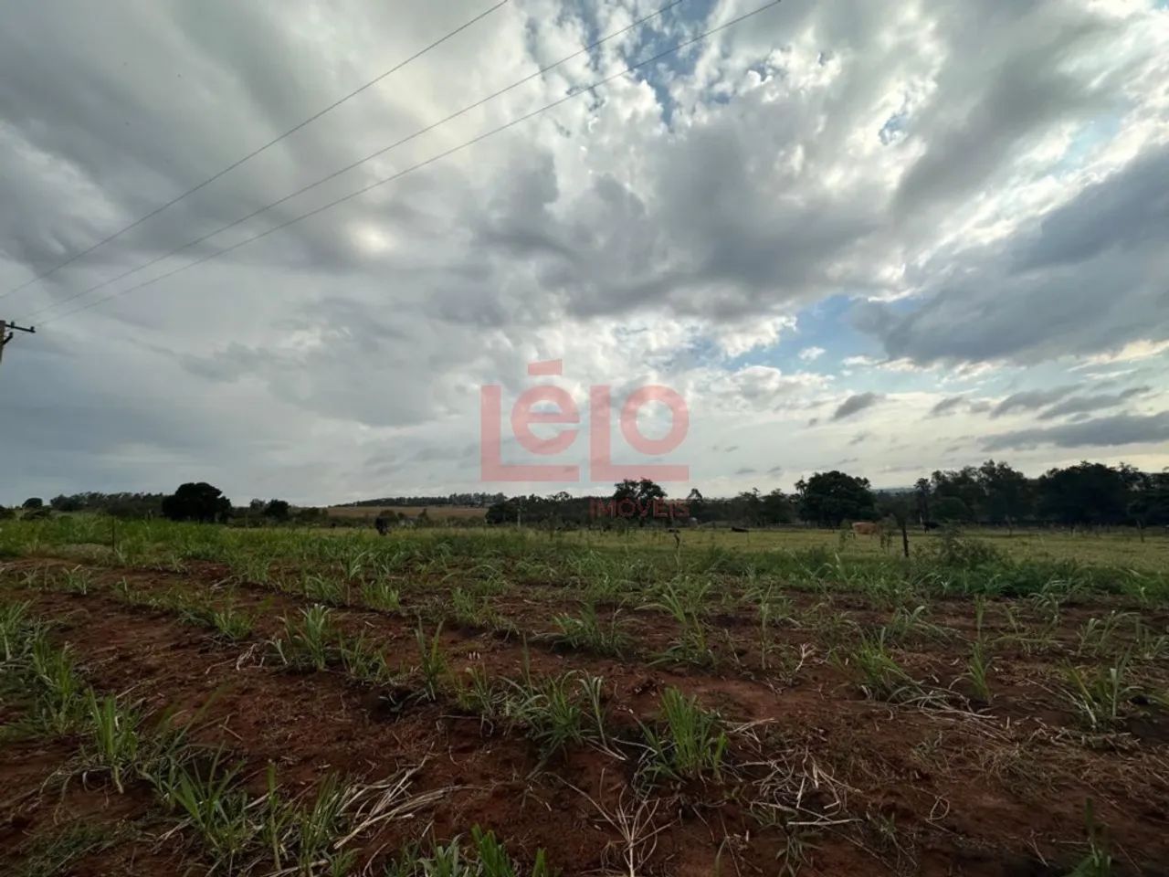 ÁREA RURAL EM IGUARAÇU - Foto 2