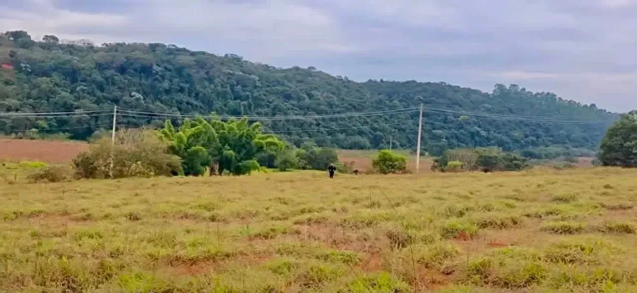 Oportunidade em Silvianopolis - Foto 5