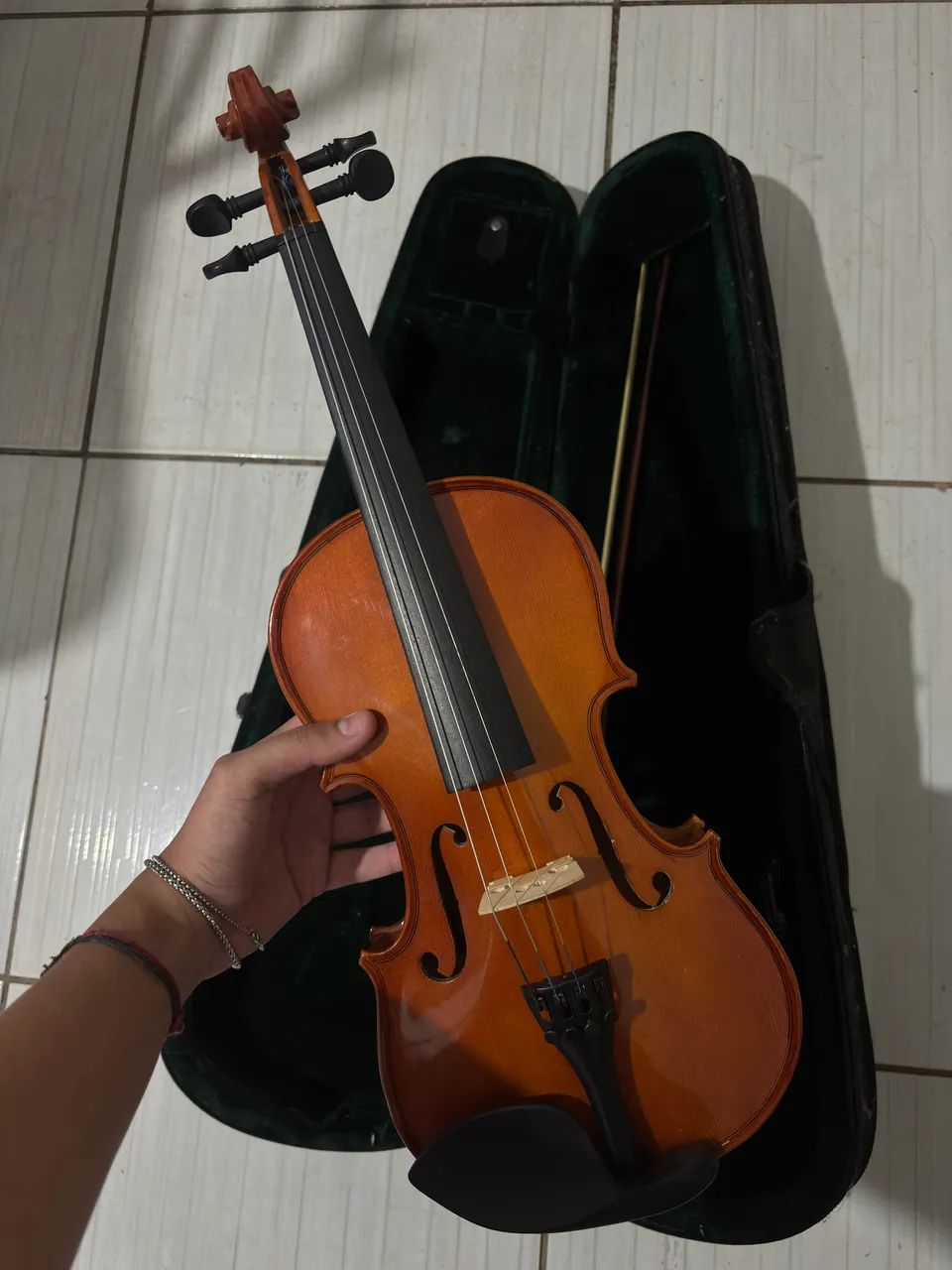 Violino parrot  - Foto 4