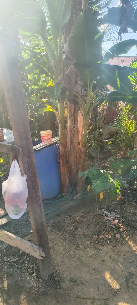 Vende-se  - Foto 4
