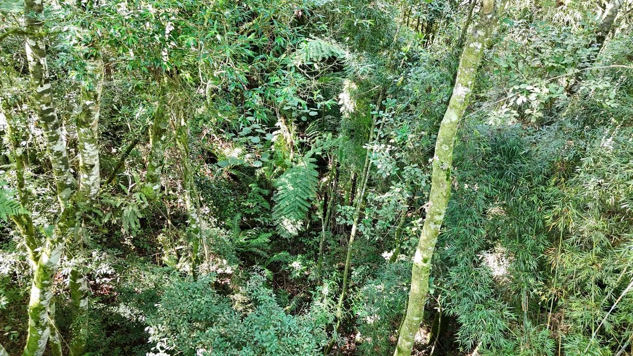 Terreno Rural em Rancho Queimado - Rio Quati - Foto 3